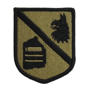 Army Patch: Defense Language Institute, embroidered on OCP