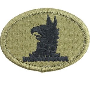 Army Patch: Delaware National Guard, embroidered on OCP