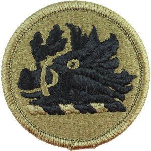 Army Patch: Georgia National Guard, embroidered on OCP