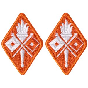 Army Patch: Signal Training School, color