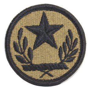 Army Patch: Texas National Guard, embroidered on OCP