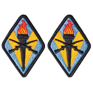 Army Patch: Training Center Fort Jackson, color