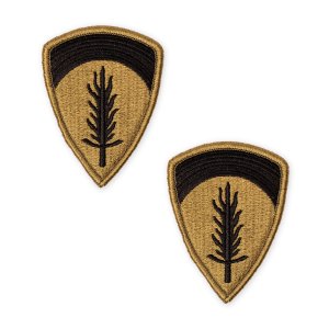 Army Patch: US Europe, embroidered on OCP