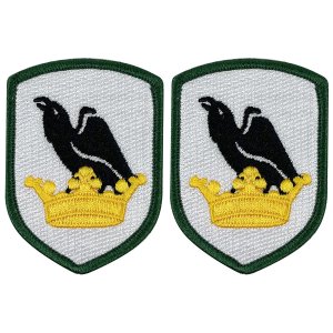 Army Patch: Washington National Guard, color