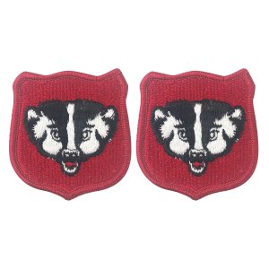 Army Patch: Wisconsin National Guard, color