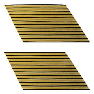 Army Service Stripe: Gold Embroidered on Blue, female, set of 11