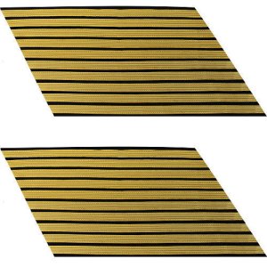 Army Service Stripe: Gold Embroidered on Blue, male, set of 10