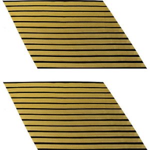 Army Service Stripe: Gold Embroidered on Blue, male, set of 12