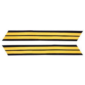 Army Service Stripe: Gold Embroidered on Blue, male, set of 2