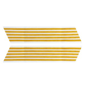 Army Service Stripe: Gold Embroidered on White, female, set of 5