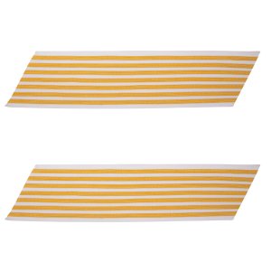 Army Service Stripe: Gold Embroidered on White, female, set of 7