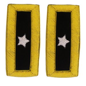 Army Shoulder Strap: Brigadier General, Gold Bullion Frame with Rank