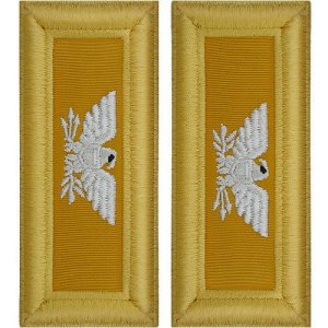 Army Shoulder Strap: Colonel Armor
