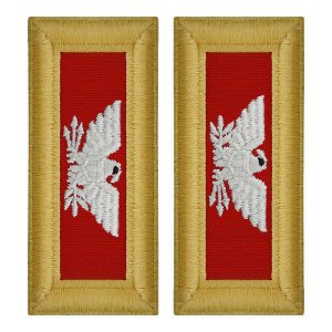 Army Shoulder Strap: Colonel Artillery, female