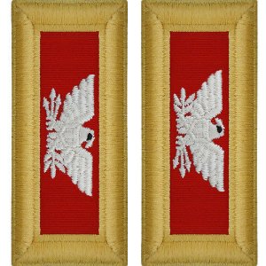 Army Shoulder Strap: Colonel Artillery