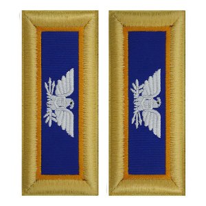 Army Shoulder Strap: Colonel Aviation, female