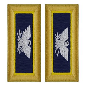 Army Shoulder Strap: Colonel Chemical, female