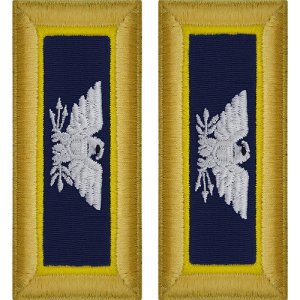 Army Shoulder Strap: Colonel Chemical