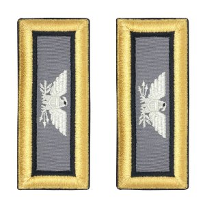 Army Shoulder Strap: Colonel Cyber Warfare