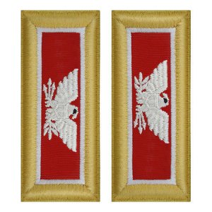 Army Shoulder Strap: Colonel Engineer, female