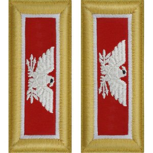 Army Shoulder Strap: Colonel Engineer