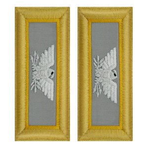 Army Shoulder Strap: Colonel Finance, female