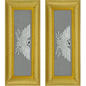 Army Shoulder Strap: Colonel Finance
