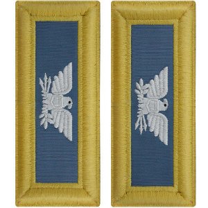 Army Shoulder Strap: Colonel Infantry