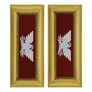 Army Shoulder Strap: Colonel Logistics, female