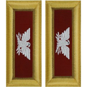 Army Shoulder Strap: Colonel Logistics