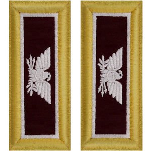 Army Shoulder Strap: Colonel Medical