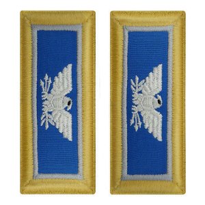 Army Shoulder Strap: Colonel Military Intelligence, female