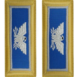 Army Shoulder Strap: Colonel Military Intelligence