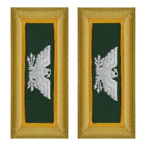 Army Shoulder Strap: Colonel Military Police, female