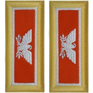Army Shoulder Strap: Colonel Signal