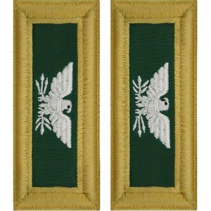 Army Shoulder Strap: Colonel Special Forces