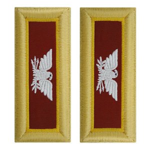 Army Shoulder Strap: Colonel Transportation, female