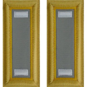 Army Shoulder Strap: First Lieutenant Finance