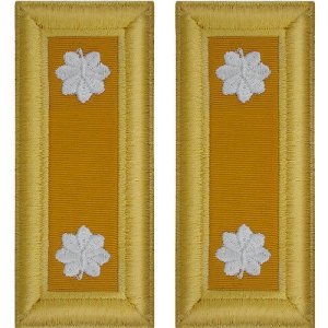 Army Shoulder Strap: Lieutenant Colonel Armor, female