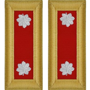 Army Shoulder Strap: Lieutenant Colonel Artillery