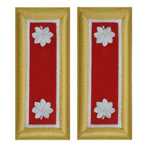 Army Shoulder Strap: Lieutenant Colonel Engineer, female