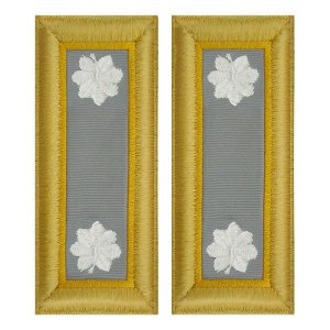 Army Shoulder Strap: Lieutenant Colonel Finance, female