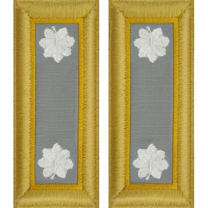 Army Shoulder Strap: Lieutenant Colonel Finance