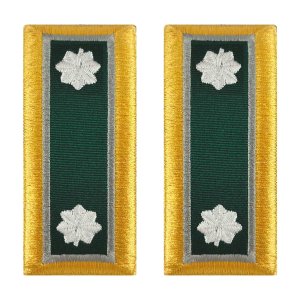 Army Shoulder Strap: Lieutenant Colonel Psychological Operations