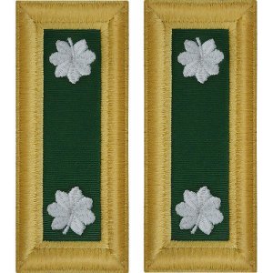 Army Shoulder Strap: Lieutenant Colonel Special Forces