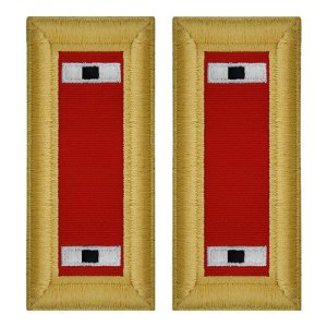 Army Shoulder Strap: Warrant Officer 1: Artillery, female