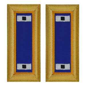 Army Shoulder Strap: Warrant Officer 1: Aviation, female