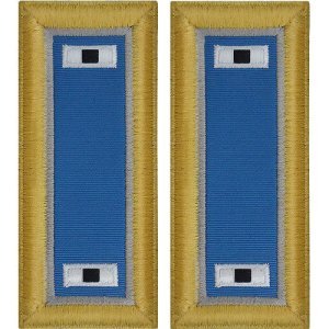 Army Shoulder Strap: Warrant Officer 1: Military Intelligence