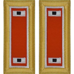 Army Shoulder Strap: Warrant Officer 1: Signal