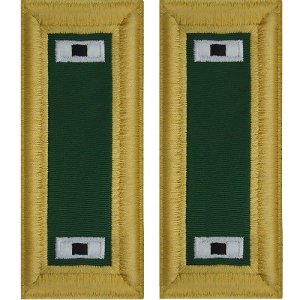 Army Shoulder Strap: Warrant Officer 1: Special Forces